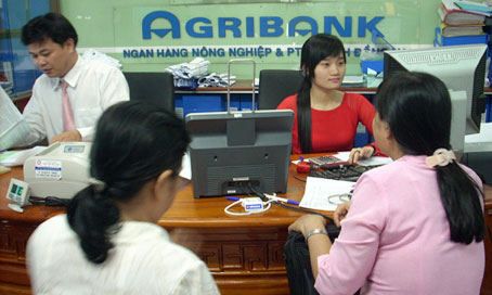 Agribank: Tiếp cận cho vay các mô hình liên kết nông nghiệp
