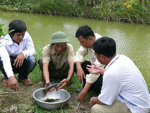 Thương binh Lê Văn Hòa giúp đỡ người nghèo cách thức sản xuất
