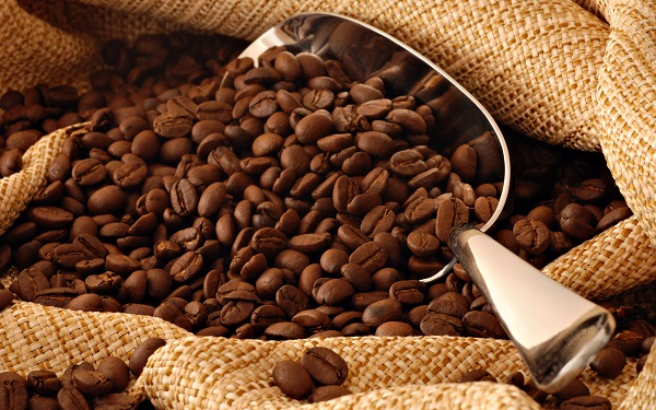 Năm tới, Viêt Nam sẽ là nước xuất khẩu cà phê số 1 thế giới