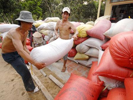 Gạo Việt tăng cao kỷ lục, 
