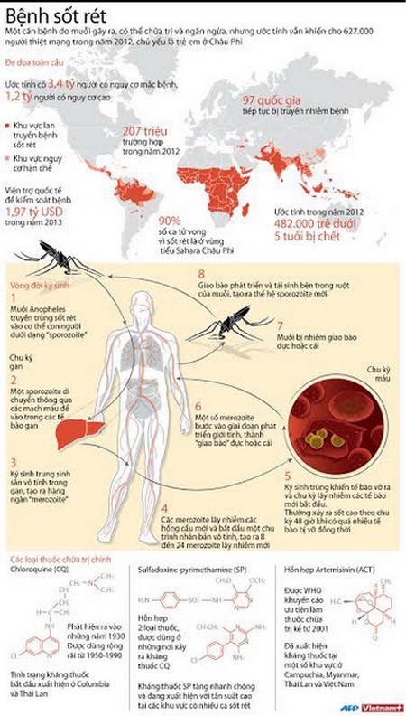 [INFOGRAPHIC] 3,4 tỷ người có nguy cơ mắc bệnh sốt rét