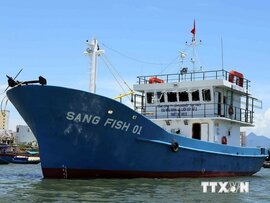 Quảng Ngãi: 150 ngư dân nộp hồ sơ đăng ký vay vốn đóng tàu