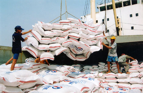 Philipines cần nhập 1,4 triệu tấn gạo, thêm cơ hội cho gạo Việt