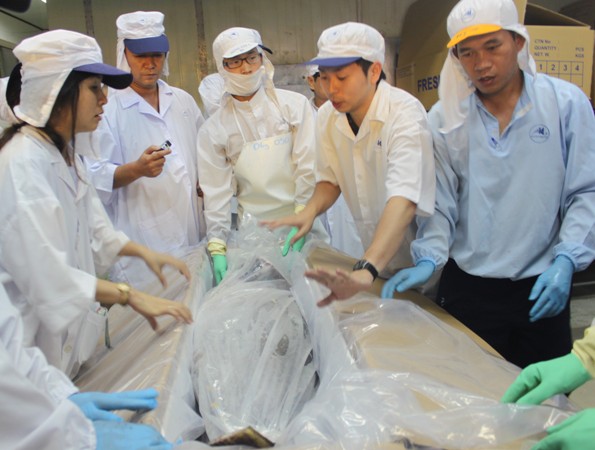 Cá ngừ được đóng thùng chuẩn bị đưa lên máy bay qua Nhật Bản.
