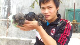 8X Việt thành đại gia nhờ nuôi loài chó đắt nhất hành tinh