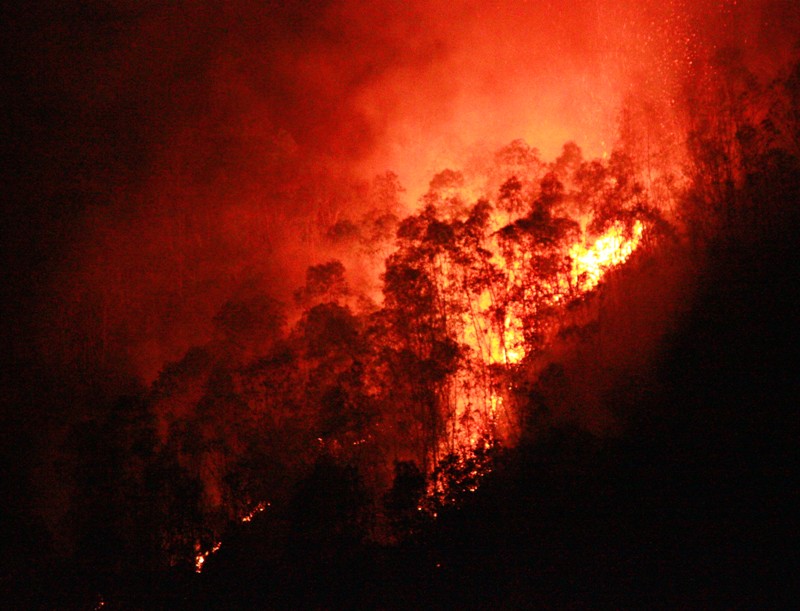 Đốt vàng mã, đốt cháy 20 ha rừng trên núi Bà Hỏa