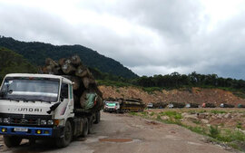 Hàng trăm xe chở gỗ Lào ‘siêu tải’ dồn ứ tại cửa khẩu