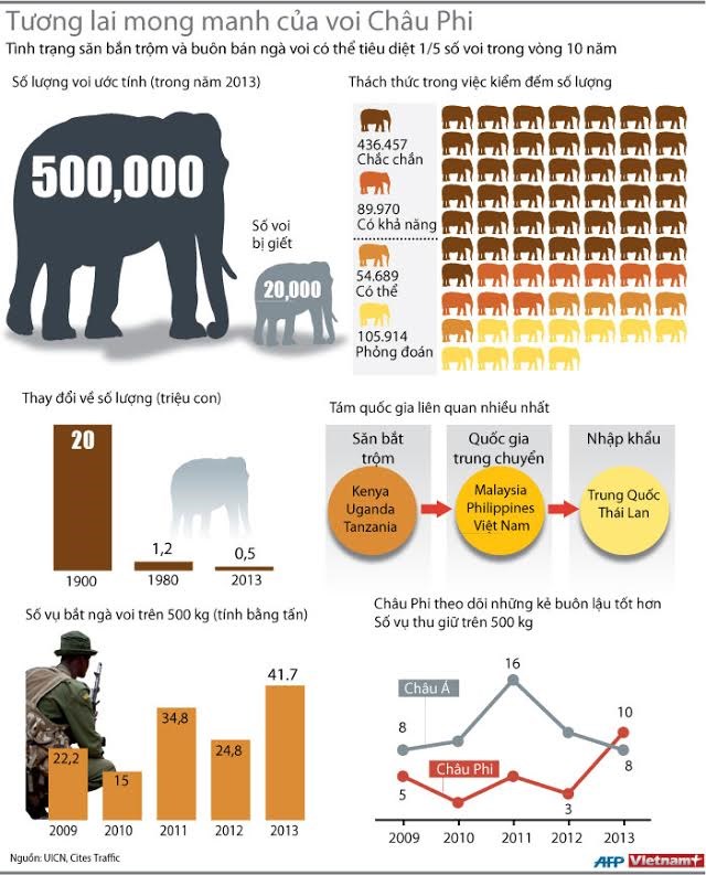[INFOGRAPHIC] Tương lai mong manh của loài voi châu Phi