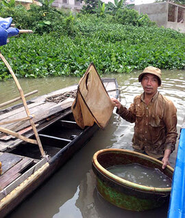 Bắt giun, nghề mưu sinh cùng cực giữa lòng sông Sài Gòn