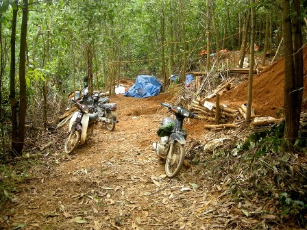 Tình trạng “vô chủ” ở mỏ vàng Bồng Miêu (huyện Phú Ninh) tạo điều kiện cho “vàng tặc” hoành hành