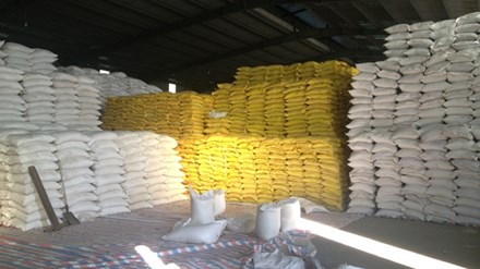 Trung Quốc ngưng nhập khẩu gạo tiểu ngạch, doanh nghiệp điêu đứng