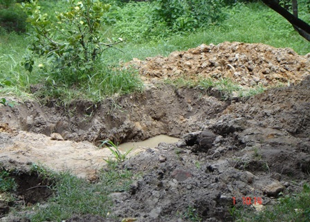Những hố đất được cho là có vàng ở khu vườn ông Nguyễn Văn Đến xã Thạnh Phú, huyện Cầu Kè, Trà Vinh