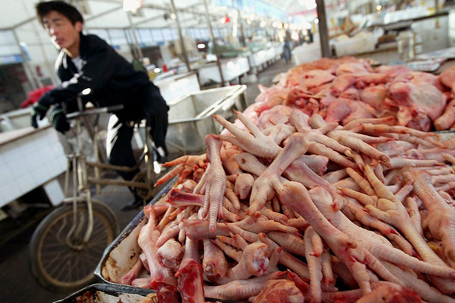  Hơn 30.000 tấn chân gà ngâm hoá chất vừa bị thu giữ tại Trung Quốc.
