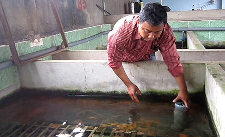 Anh Sơn đang chăm sóc một chuồng nuôi lươn không bùn