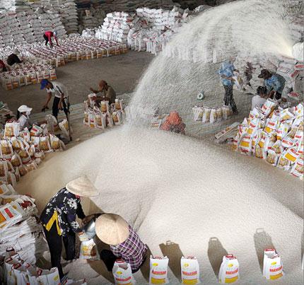 Gạo của Việt Nam sẽ gặp khó khi vẫn chạy theo số lượng thay vì chất lượng
