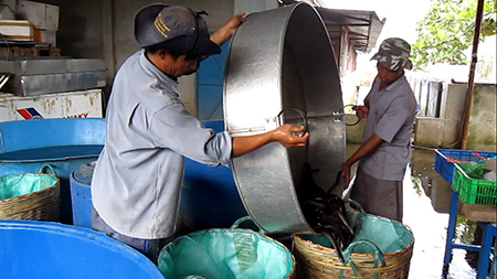 Mô hình nuôi lươn không cần bùn đang đem lại hiểu quả kinh tế cho người nông dân