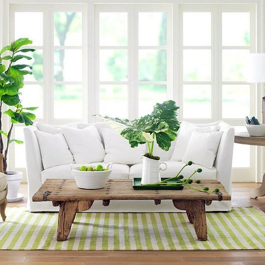 Cách sử dụng cây xanh trong trang trí nội thất