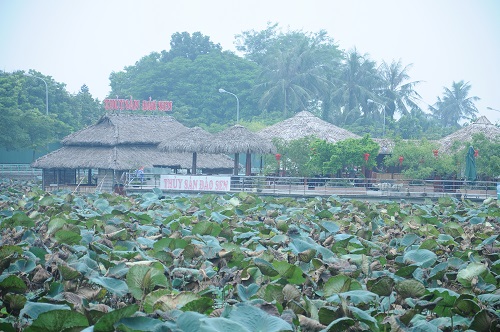 Hà Nội: Ngăn ao, lập đảo băm nát hồ Tây để thu lợi
