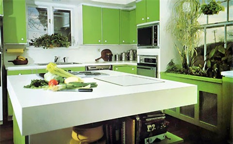 Các kiến trúc sư đã đưa màu sắc thiên nhiên vào trong căn bếp.
