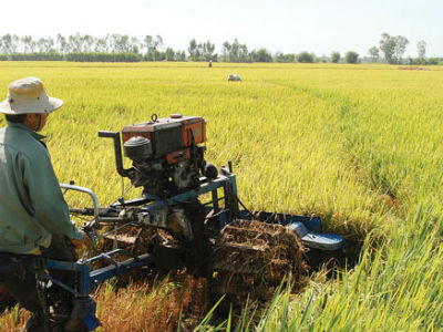 FDI “làm lơ” nông nghiệp Việt Nam