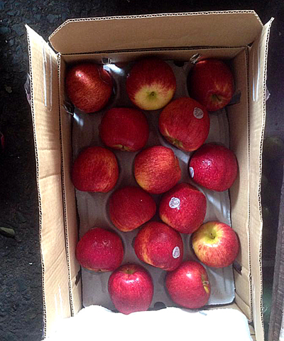 TPHCM: Tạm giữ hơn 900 thùng trái cây không rõ nguồn gốc