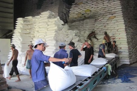 Kim ngạch xuất khẩu gạo của Việt Nam đột nhiên đảo chiều đi lên