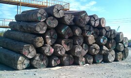 Tạm dừng tạm nhập, tái xuất gỗ từ Lào và Campuchia