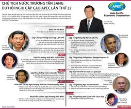 [INFOGRAPHIC] Chủ tịch nước dự Hội nghị cấp cao APEC lần thứ 22
