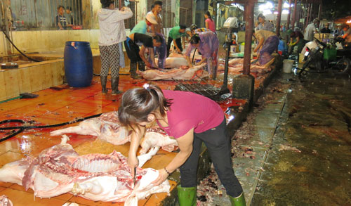 Chăn nuôi Việt Nam: tư thương hưởng lợi 40% giá trị