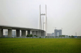 Trung Quốc bực tức vì đổ tiền xây cầu nối với Triều Tiên chỉ để “ngắm”
