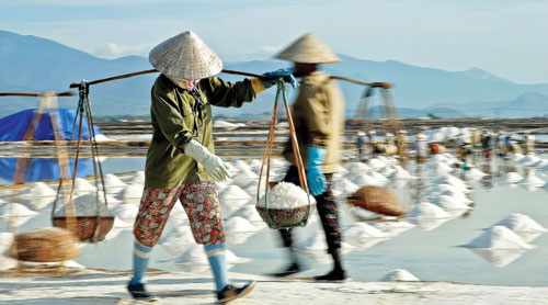 Diêm dân thừa muối, Việt Nam vẫn phải chi 400 tỷ nhập muối