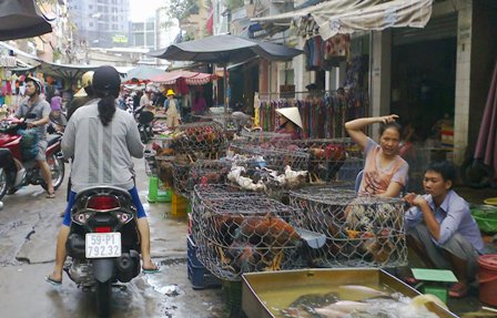 Gia cầm sống được bán công khai tại chợ Phạm Văn Hai, quận Tân Bình