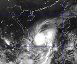 Chiều nay tâm bão số 4 quét vào ven biển Bình Định - Khánh Hòa