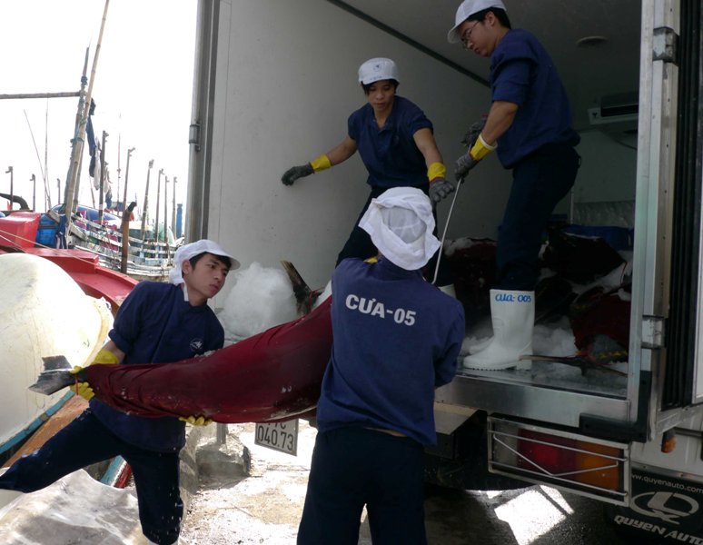 Lô cá được Công ty Cổ phần Thủy sản Bình Định thu mua với gia 110.000 đồng/kg