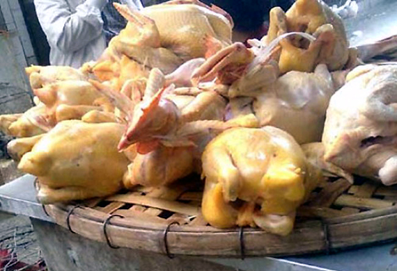 Phát hoảng với ‘gà mía’ Trung Quốc luộc sẵn