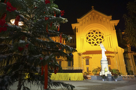 Các cây thông của xứ lạnh phủ tuyết trắng ở cổng vào nhà thờ Cửa Bắc trên phố Phan Đình Phùng.