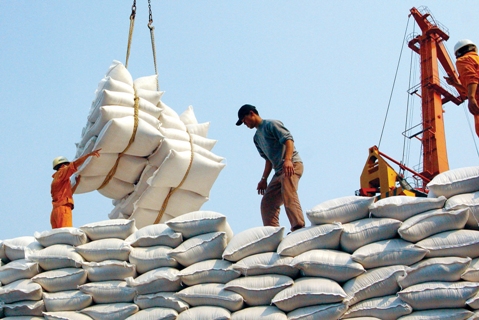 Gạo Việt chật vật cạnh tranh gạo Thái tại thị trường 