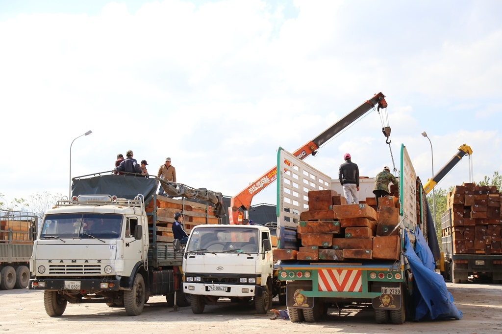 Hàng trăm xe gỗ dồn ứ tại Cửa khẩu Lao Bảo
