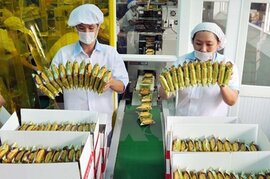 Đại gia Indonesia tung 40 triệu USD mua hãng bánh quy Việt Nam