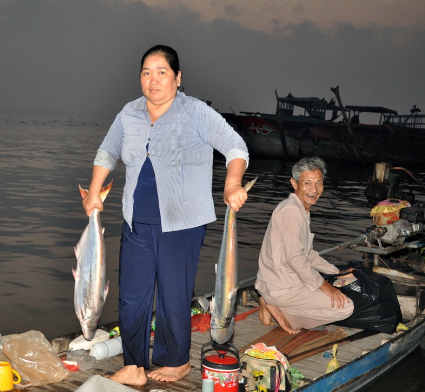 Đầu mùa cá bông lau đang hút hàng, hiện giá các thương lái thu mua từ 180.000 - 200.000 đồng/kg