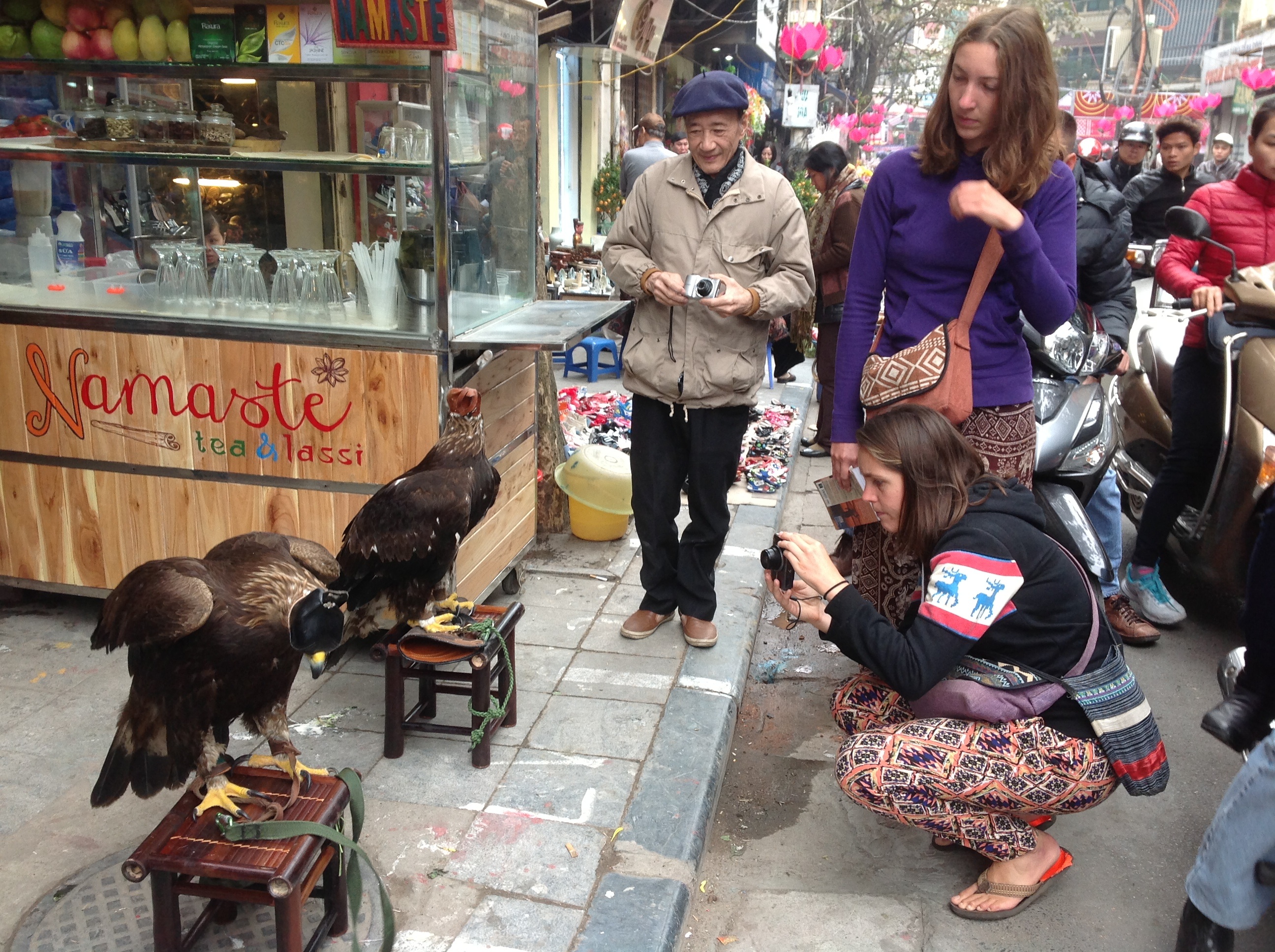 Nhiều du khách nước ngoài thích thú khi gặp hai chú chim đại bàng Mông Cổ.