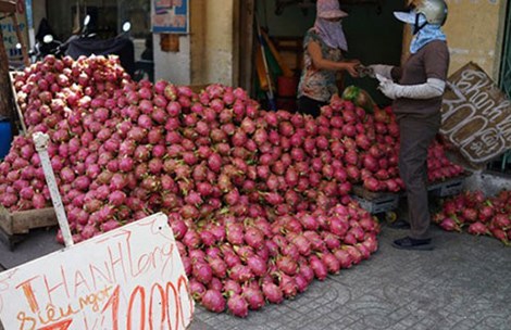Trái cây Việt bị rẻ rúng ở nước ngoài
