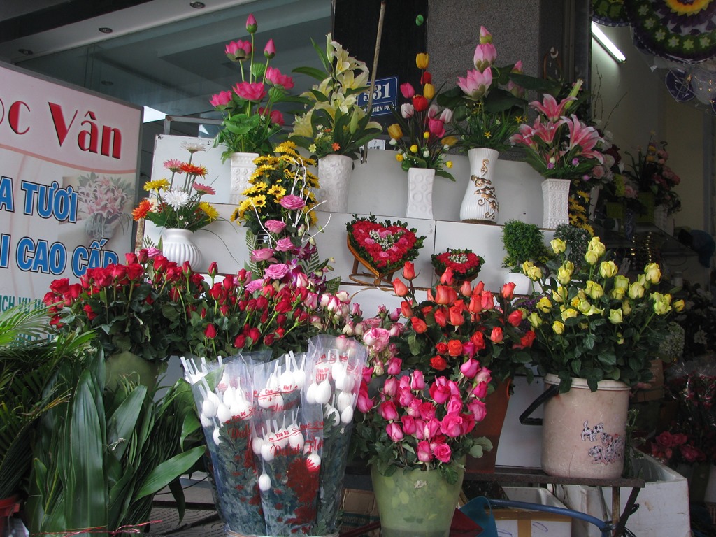 Hoa hồng Đà Lạt tăng giá đột biến dịp Valentine
