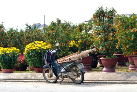 Phương tiện chở hoa là chiếc xe máy
