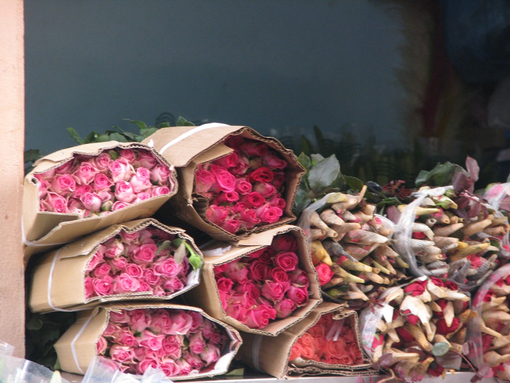 Tại chợ bán sĩ, mỗi có hồng đỏ Đà Lạt có giá 120 - 150 ngàn đồng/bó.