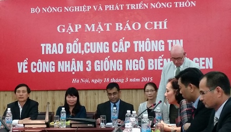 Việt Nam chính thức cho phép thương mại hóa 3 giống ngô biến đổi gen đầu tiên (Ảnh minh họa)