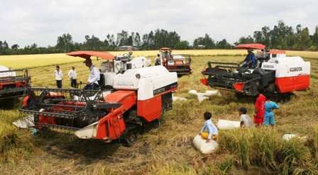 Mua tạm trữ 1 triệu tấn gạo: Giá không 