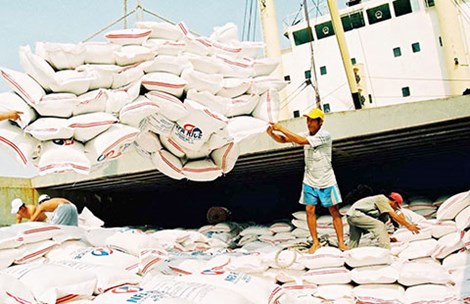 Bốc dỡ gạo xuất khẩu tại cảng Sài Gòn. Ảnh: CTV