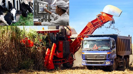 Nhiều doanh nghiệp lớn đang “cày cấy”, “gặt hái” trên mảnh đất “vàng” mang tên nông nghiệp công nghệ cao. Ảnh: Hồng Vĩnh.