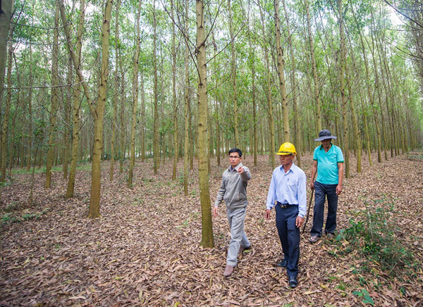 Khi nông dân Việt ra nước ngoài dạy trồng cây